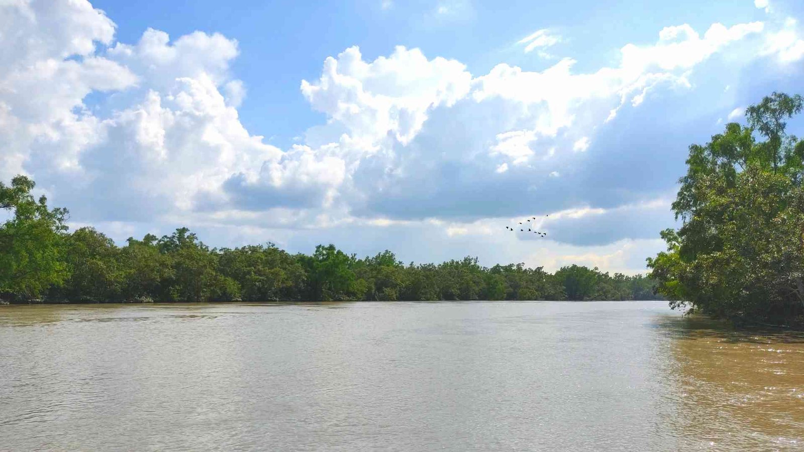 sundarban river with cloudy sky making an amazing view